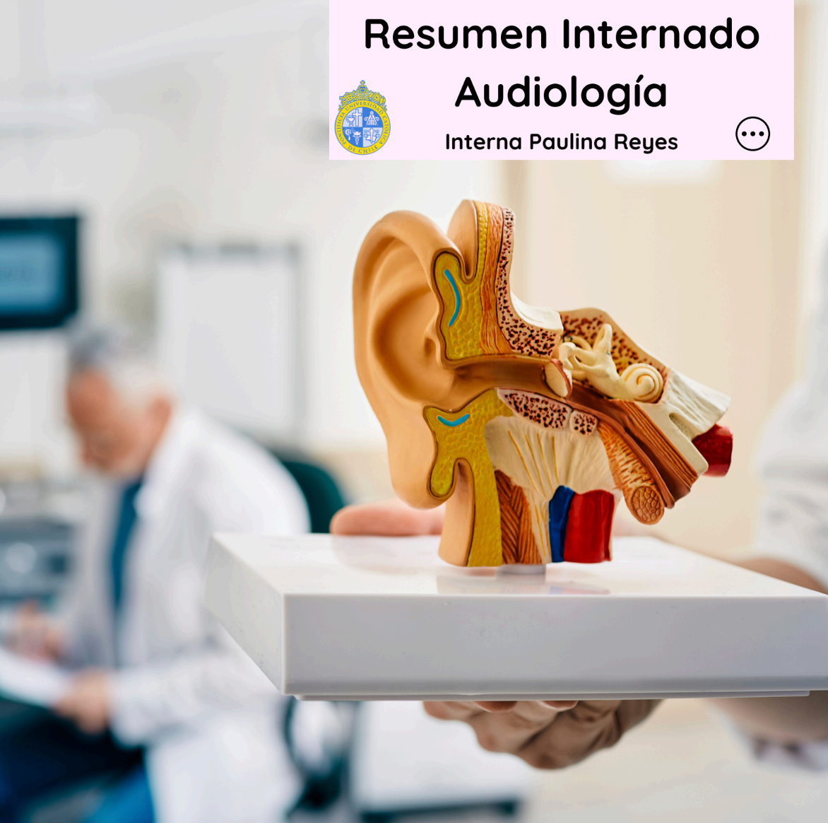 Pack Resúmenes de Internado