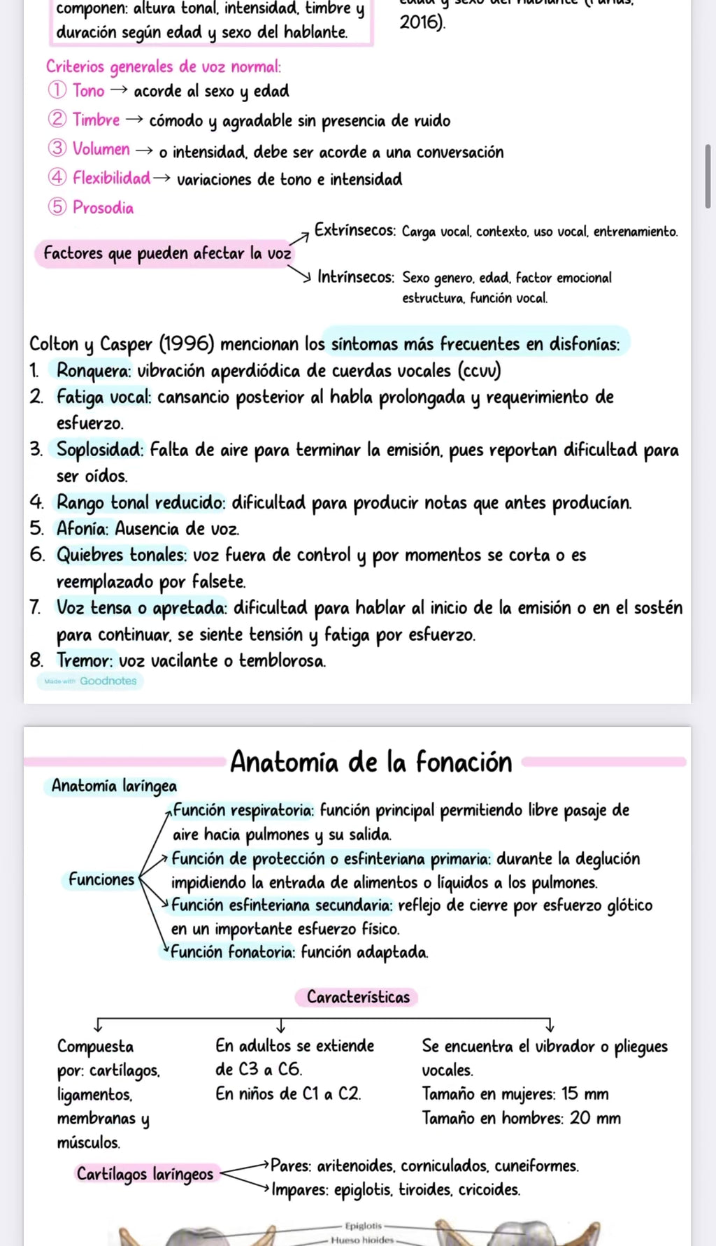 Resumen Internado Voz