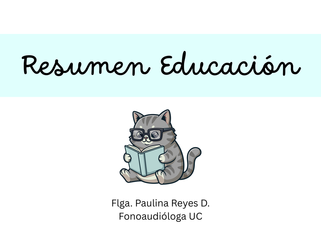 Resumen Internado Educación