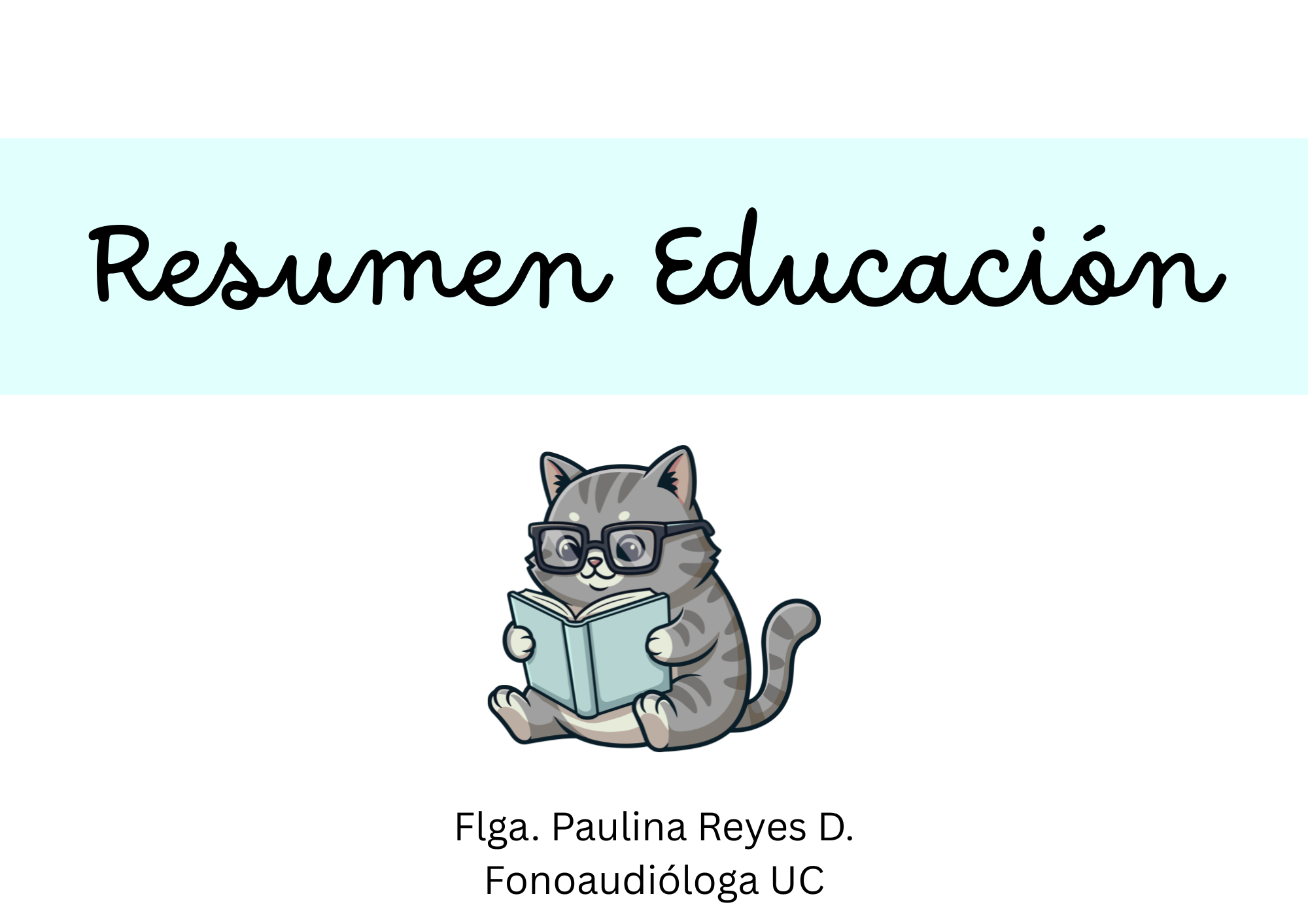 Resumen Internado Educación