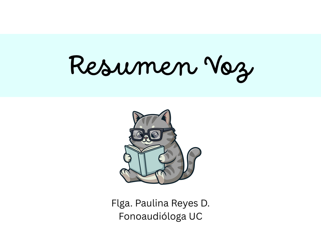 Resumen Internado Voz